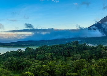 Arenal