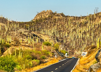 Tehuacan