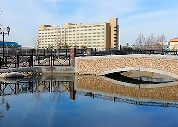 Bakersfield - Ca