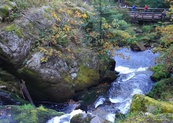 Triberg