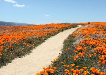 Lancaster - Ca