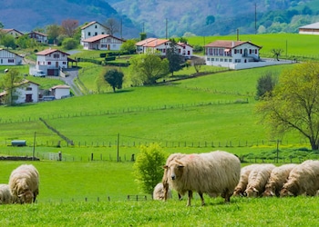 Ceraín