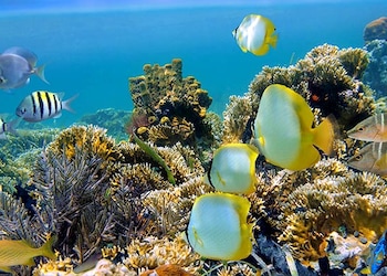 Sharm El Sheikh