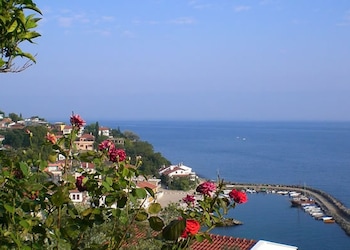 Bursa