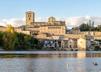 Zamora