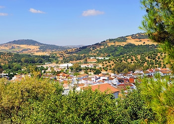 El Bosque