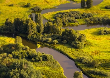 Lipno