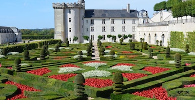 Ruta por los Castillos Reales del Valle del Loira II