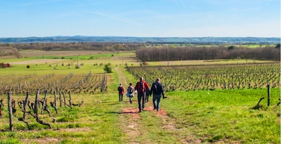 Ruta por Toulouse y los viñedos de Fronton Ruta por Toulouse y los viñedos de Fronton