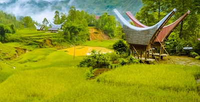 Sulawesi y Bali Sulawesi y Bali
