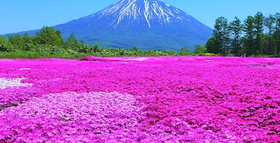 Ruta por Hokkaido y Tokio Ruta por Hokkaido y Tokio