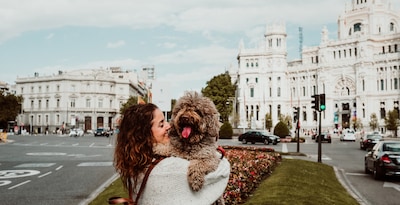 Visita Madrid con tu mascota 