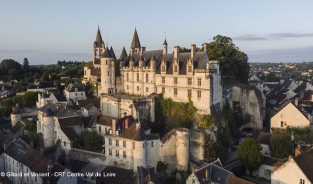 Vive unas Navidades de ensueño Ciudad real de Loches: Centro de arte y naturaleza