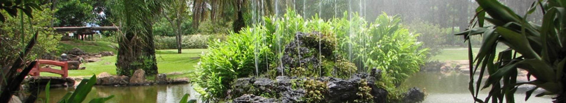 Caldas Novas