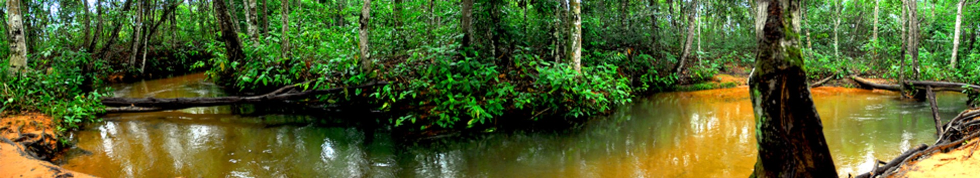 Chapada dos Guimarães