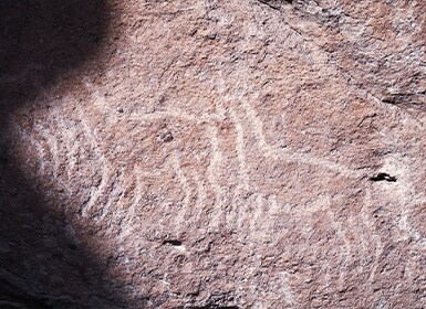 Petroglifos