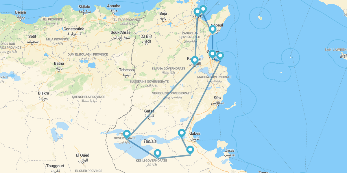 Túnez, Tozeur, Douz y Susa o Hammamet