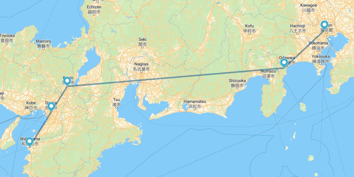 Elegidos Japón