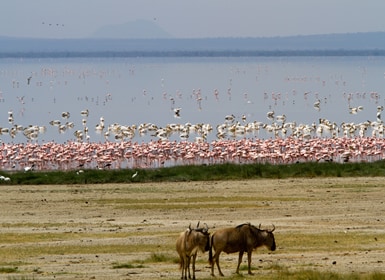 Parque Nacional del Lago Manyara