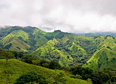 Reserva Biológica Bosque Nuboso de Monteverde
