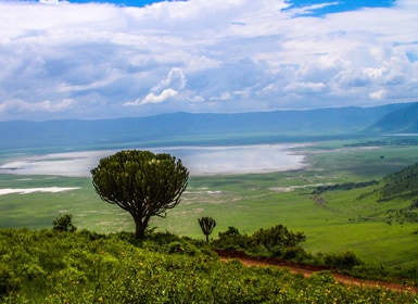 Zona de conservación de Ngorongoro (ZCN)
