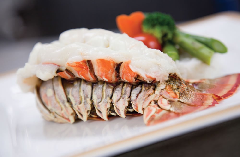 QM Gastronomía