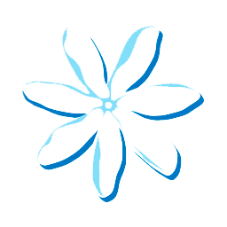Vuelos de AIR TAHITI