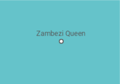 Itinerario del Crucero Zambezi Queen - Zambezi Queen - AmaWaterways