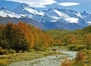 Norte de Patagonia