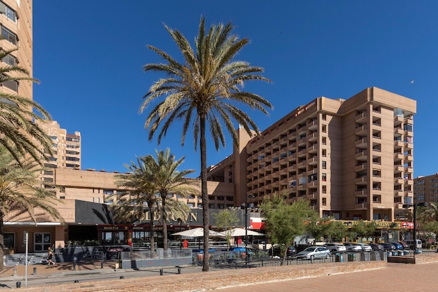 Gallery - Hotel Las Palmeras Affiliated By Fergus