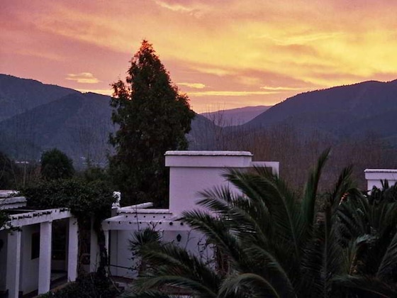 Gallery - Taray Botanico