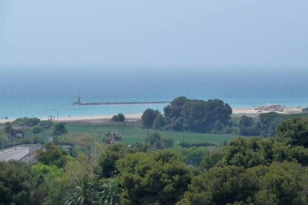 Gallery - San Martin
