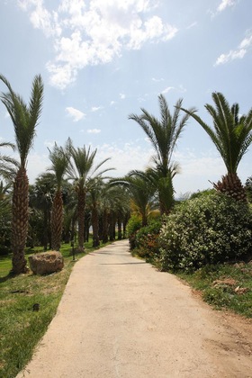 Gallery - Ascos Coral Beach Hotel