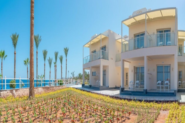 Gallery - Pickalbatros Royal Grand Sharm - Adults Friendly 16 Years Plus