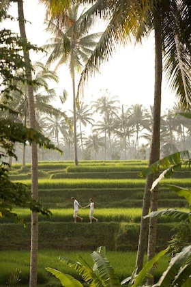 Gallery - Kamandalu Ubud