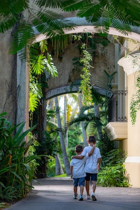 Gallery - Pueblo Bonito Emerald Bay Resort & Spa - All Inclusive