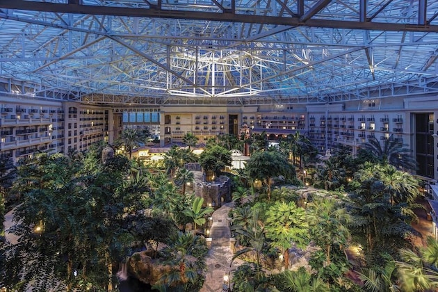 Gallery - Gaylord Palms Resort & Convention Center