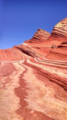 Gallery - Best Western View Of Lake Powell Hotel