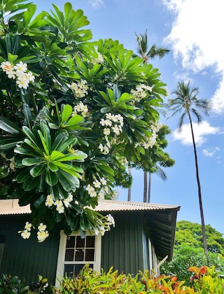 Gallery - Waimea Plantation Cottages, a Coast Resort