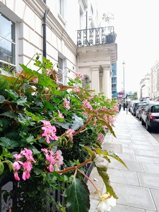 Gallery - Edward Hotel Paddington