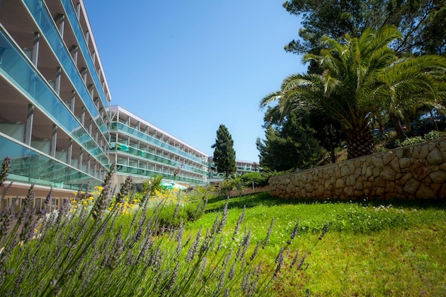 Gallery - Hotel Aurora