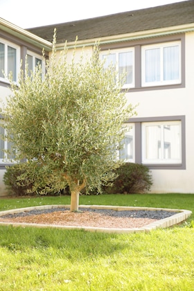 Gallery - Hotel The Originals Tours Nord La Terrasse