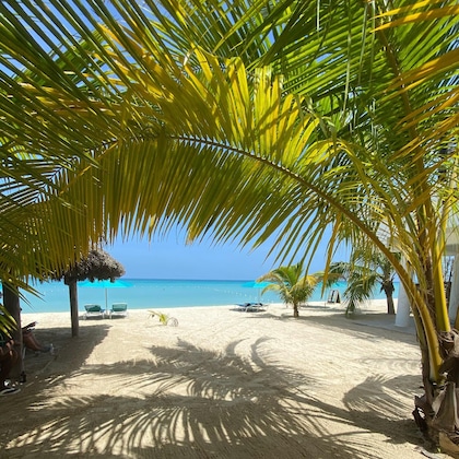 Gallery - White Sands Negril
