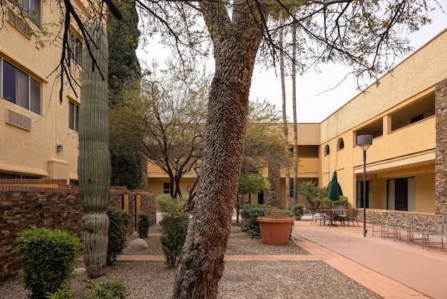 Gallery - La Quinta Inn & Suites By Wyndham Tucson - Reid Park