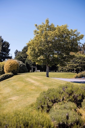 Gallery - Ascot Park Hotel