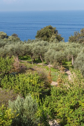 Gallery - Relais Regina Giovanna