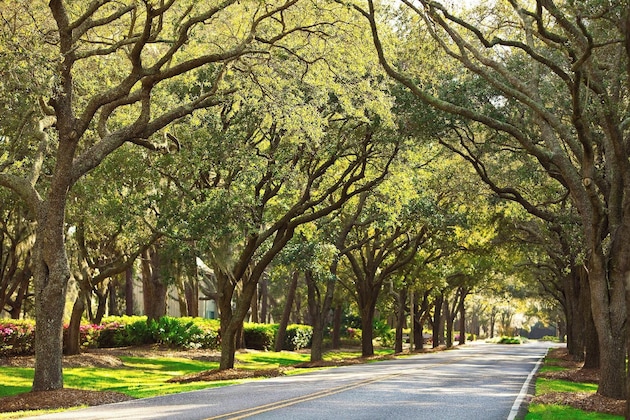 Gallery - The Westin Hilton Head Island Resort & Spa