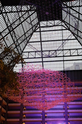 Gallery - Hilton Anatole