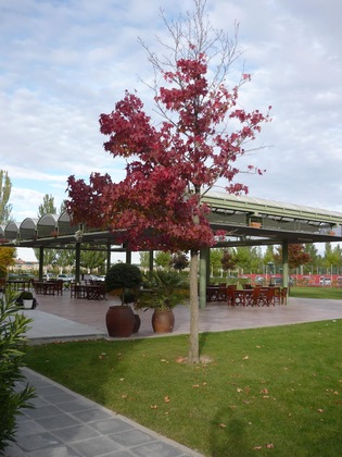 Gallery - Hotel Lasa Sport