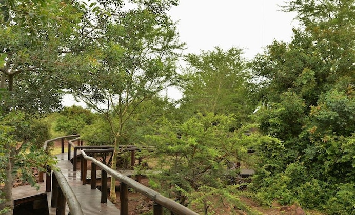 Gallery - Shishangeni Lodge, Kruger National Park